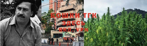 ECSTASY Осташков
