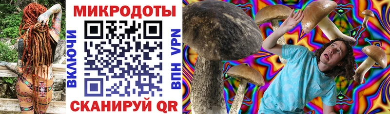 Галлюциногенные грибы Psilocybine cubensis  Купить  Октябрьск 